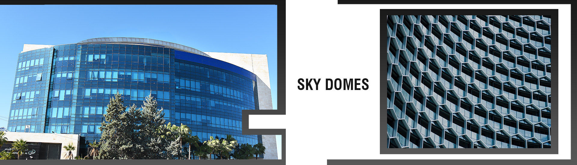 SKY DOMES